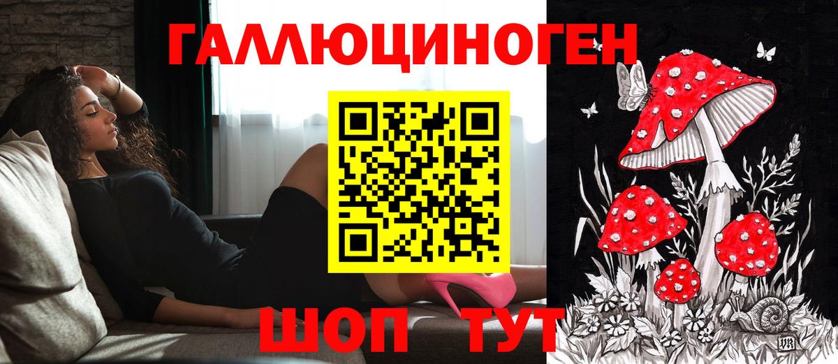 Псилоцибиновые грибы ЛСД Владивосток